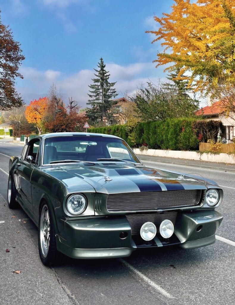 Ford Mustang Fastback 1965 Eleanor